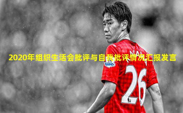 2020年组织生活会批评与自我批评情况汇报发言
