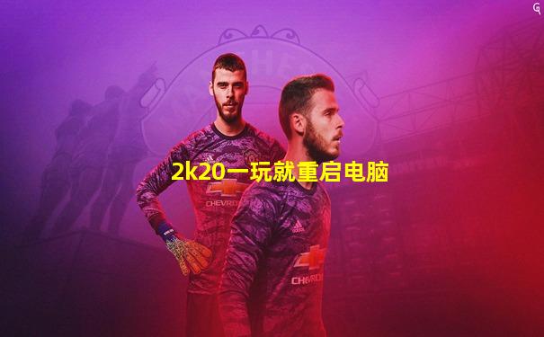 2k20一玩就重启电脑