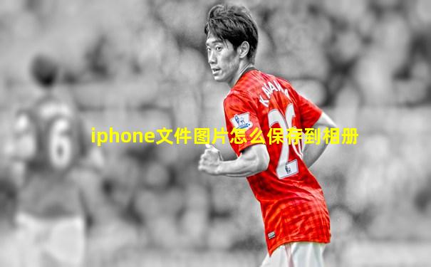 iphone文件图片怎么保存到相册