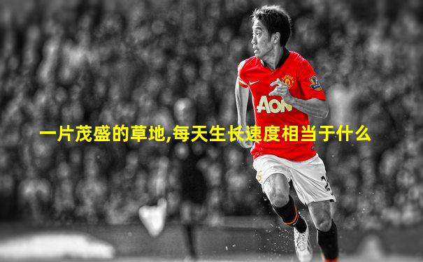 一片茂盛的草地,每天生长速度相当于什么