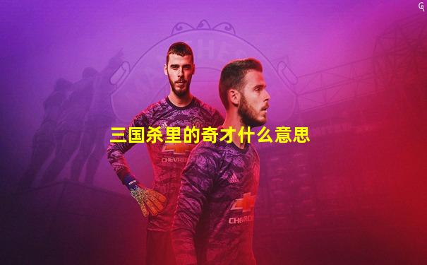 三国杀里的奇才什么意思