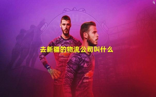 去新疆的物流公司叫什么