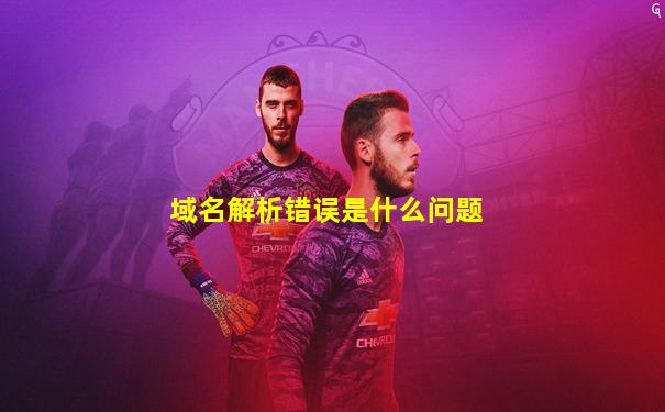 域名解析错误是什么问题