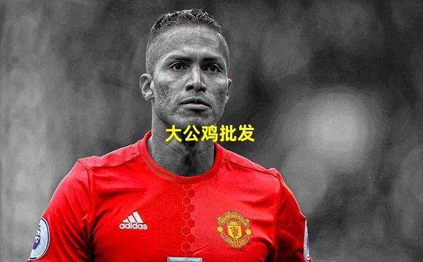 大公鸡批发