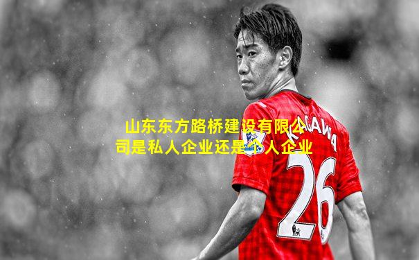 山东东方路桥建设有限公司是私人企业还是个人企业