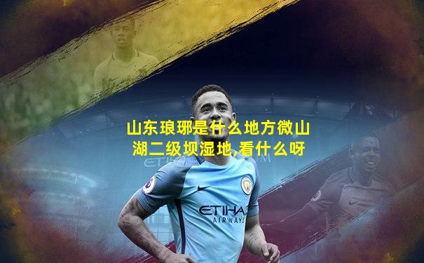 山东琅琊是什么地方微山湖二级坝湿地,看什么呀