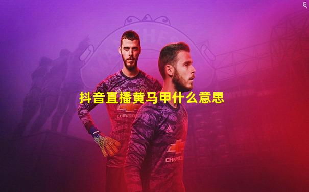 抖音直播黄马甲什么意思