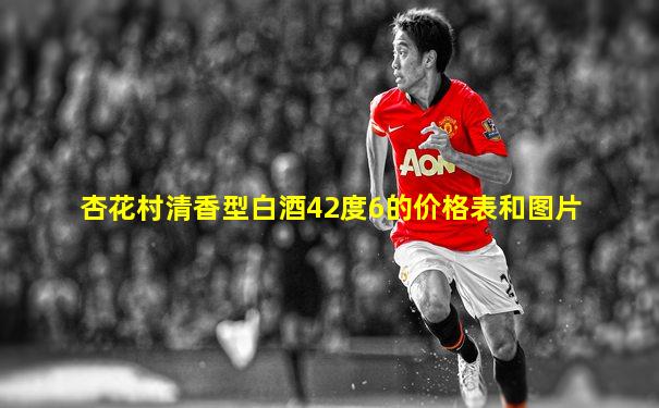 杏花村清香型白酒42度6的价格表和图片