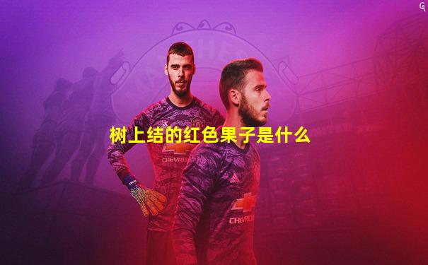 树上结的红色果子是什么