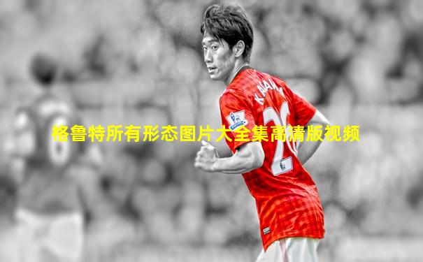 格鲁特所有形态图片大全集高清版视频
