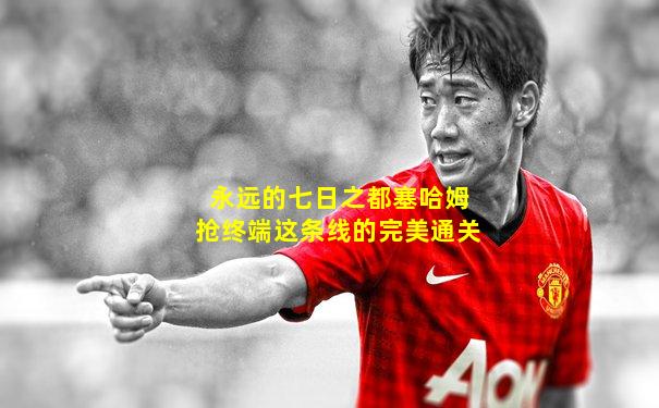 永远的七日之都塞哈姆抢终端这条线的完美通关