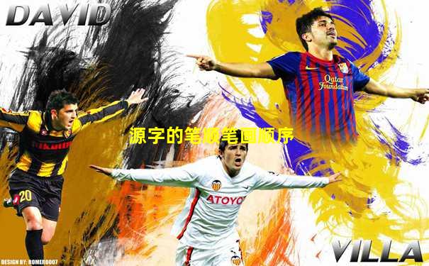 源字的笔顺笔画顺序