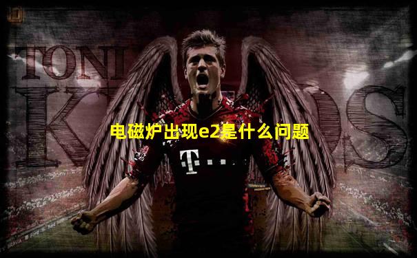 电磁炉出现e2是什么问题