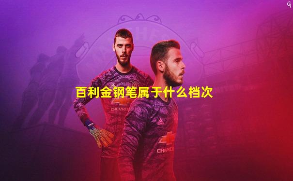 百利金钢笔属于什么档次