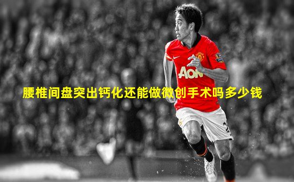 腰椎间盘突出钙化还能做微创手术吗多少钱