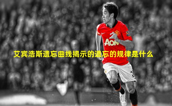 艾宾浩斯遗忘曲线揭示的遗忘的规律是什么