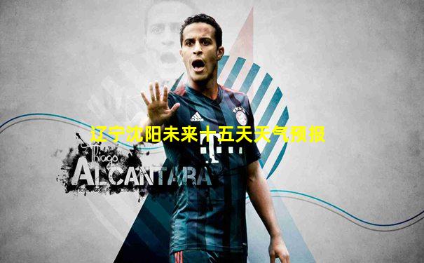辽宁沈阳未来十五天天气预报