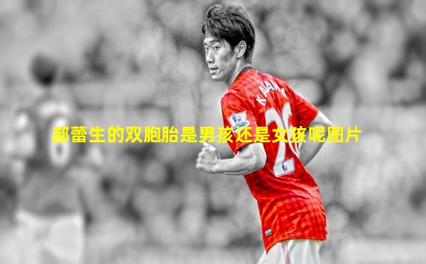 郝蕾生的双胞胎是男孩还是女孩呢图片