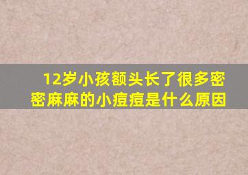 12岁小孩额头长了很多密密麻麻的小痘痘是什么原因