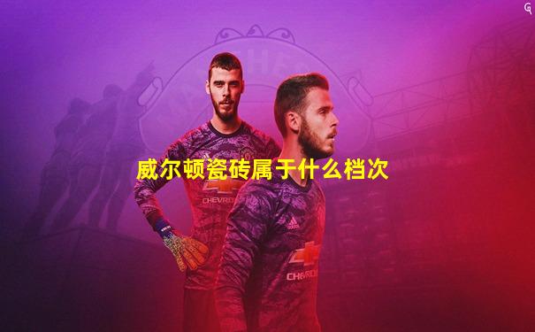 威尔顿瓷砖属于什么档次