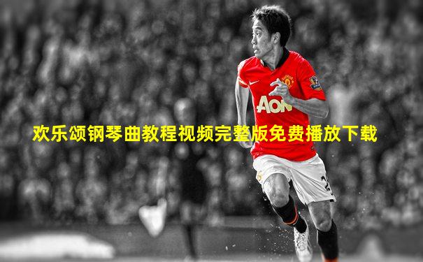 欢乐颂钢琴曲教程视频完整版免费播放下载